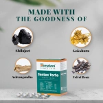 Himalaya-Tentex-forte-Tablet-–-10-Tab.png