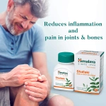 Himalaya-Shallaki-Tablet-–-60-Tab.png