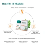 Himalaya-Shallaki-Tablet-–-60-Tab.png