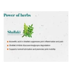 Himalaya-Shallaki-Tablet-–-60-Tab.png