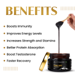 Neel Ayurvedics Shilajit Main IMG