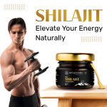 Neel Ayurvedics Shilajit Main IMG