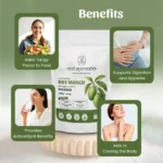 1 dry mango powder mockup