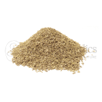Neel Ayurvédique Ajmo | Ajwain | Carambolage Graines | Trachyspermum ammi