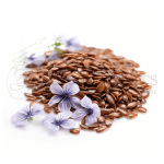Alsi-_-Flax-Seeds