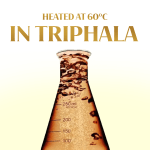 Neel-Ayurvedics-Shilajit-Main-IMG.png