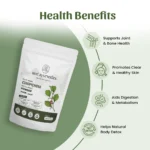 1 Chopchini Powder Mockup