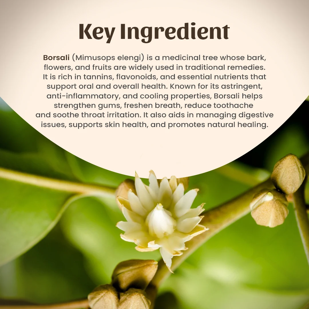 4 Borsali Powder Ingredient