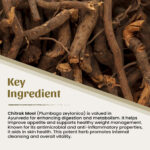 1 Chitrak Mool Powder Mockup