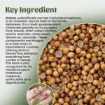 1 Dhana (Coriander) Powder Mockup