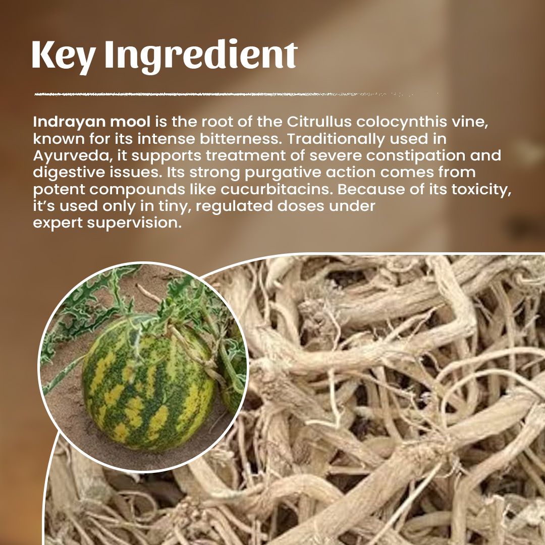 4 Indrayan Mool Powder Ingredient