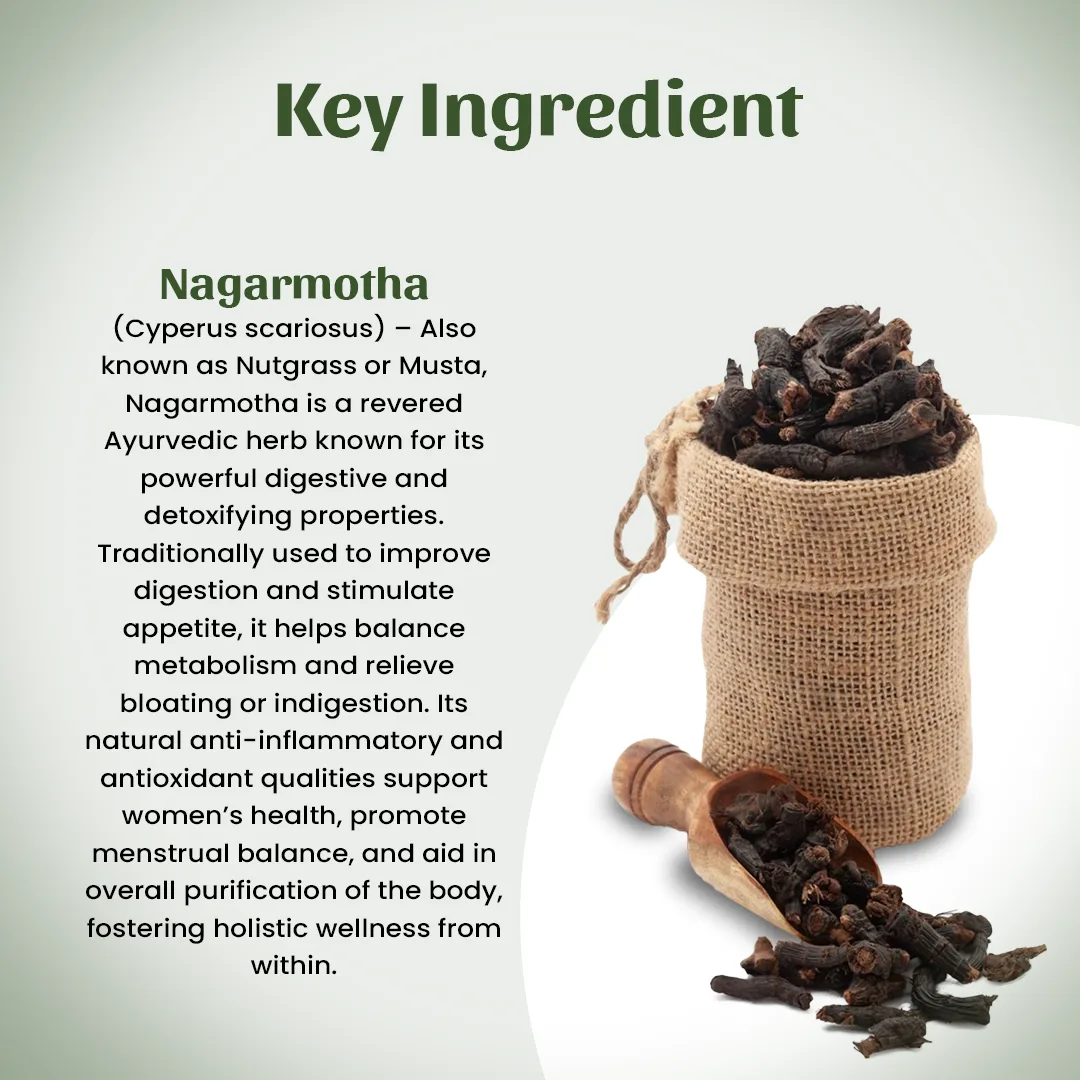 4 Nagarmotha Powder Ingredient