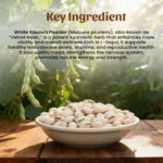 1 White Kaunch Powder Mockup