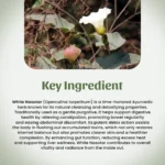 1 White Nasotar Powder Mockup