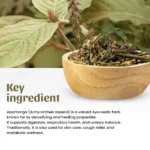 1 apamarga powder mockup