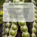 1 babul phali powder mockup