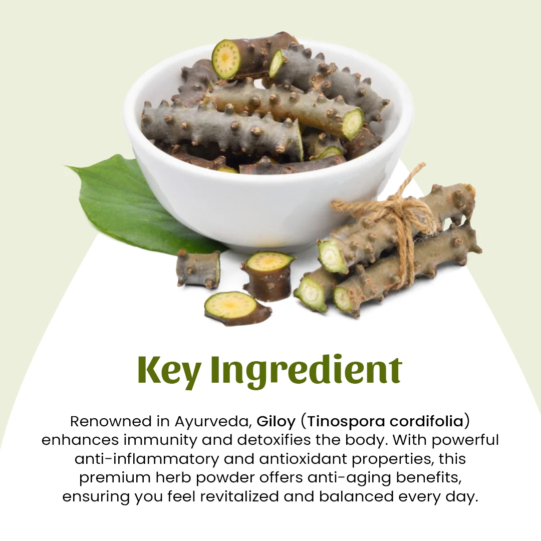 4 giloy powder ingredient