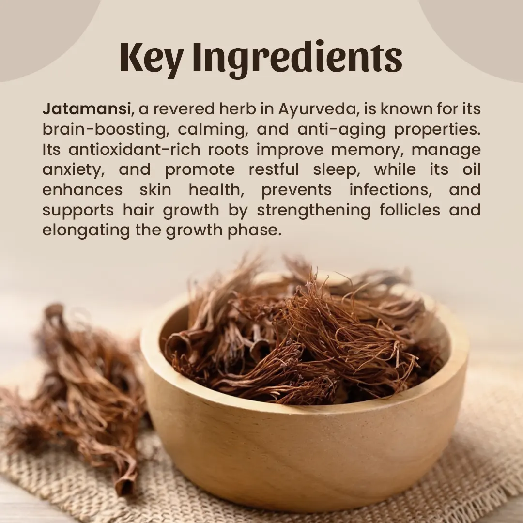 5. Jatamansi Powder Key Ingredients