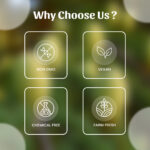 1 Devdar Powder Mockup