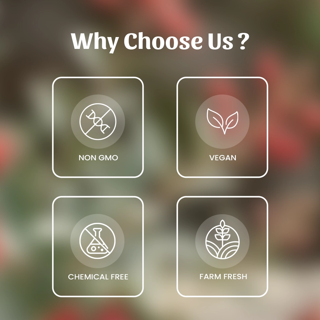 6 Dhavdi Phool Powder Why Choose Us