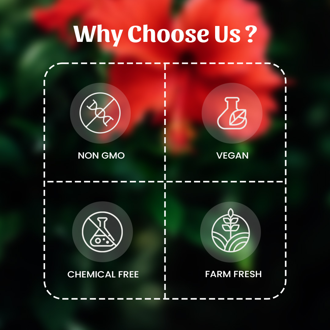 6 Jasud (hibiscus) Powder Why Choose Us