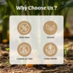 1 Turmeric (Haldi) powder Mockup