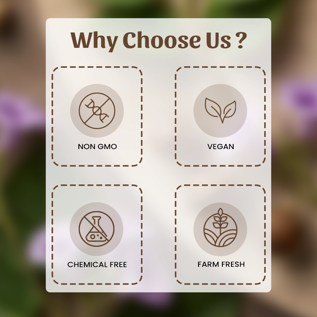 6 Vardharo Why Choose Us