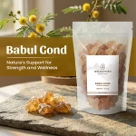 Neel Ayurvedics Babul Gond