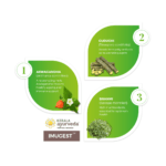 Kerala Ayurveda Imugest Tablet – 100 Tab