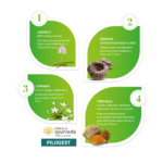 Kerala Ayurveda Pilogest Capsules – 100 Caps