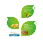 Kerala Ayurveda Biogest – 100 Tab