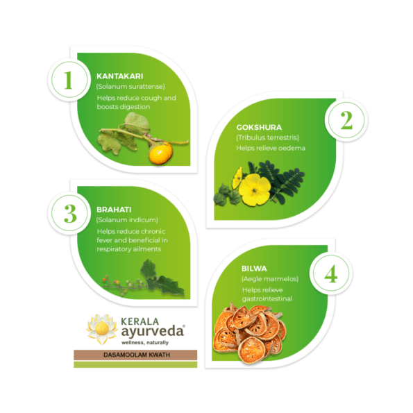 7th-ingredients-without-