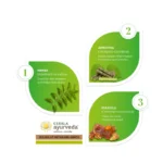Kerala Ayurveda Gulguluthikthakam Kwath – 200 ml
