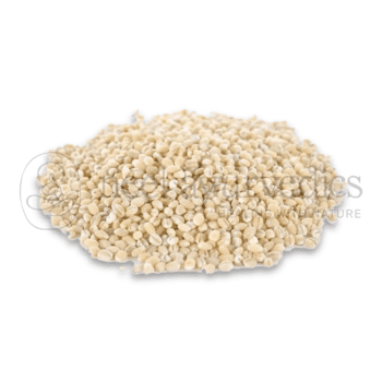 Barley Seeds