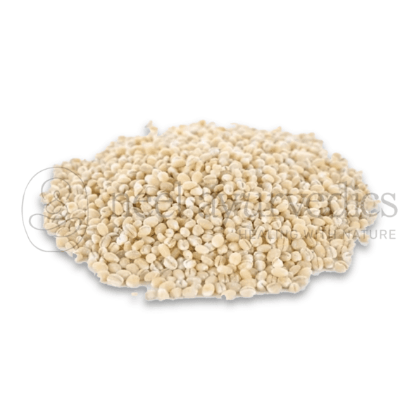 Barley Seeds