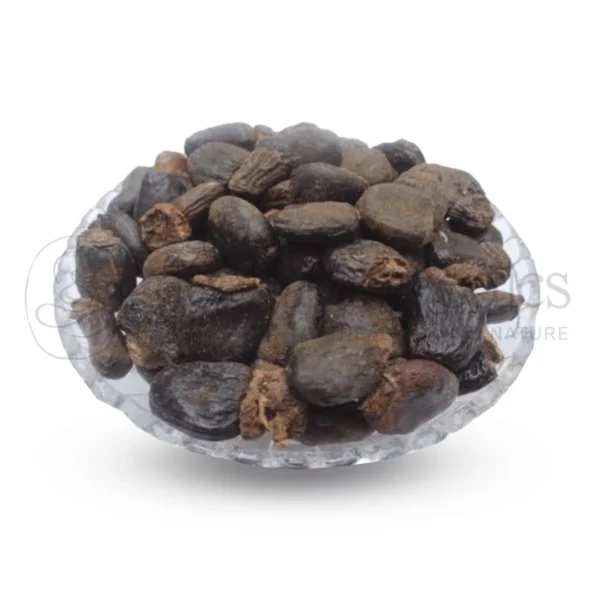 Bhilamo