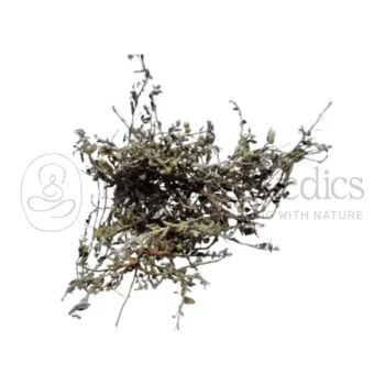Dried-shankhpushpi