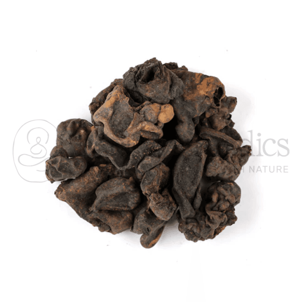 Mochras _ Bombax Malabaricum