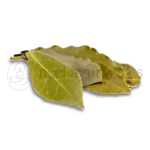 Rasna Leaves