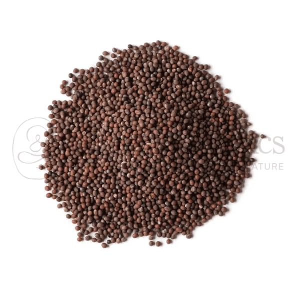 Sarsav Beej _ Mustard Seeds