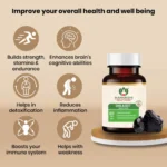 Maharishi Ayurveda Shilajeet Rasayana Tablet – 60 Tab
