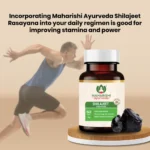 Maharishi Ayurveda Shilajeet Rasayana Tablet – 60 Tab