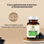 Maharishi Ayurveda Shilajeet Rasayana Tablet – 60 Tab