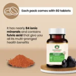 Maharishi Ayurveda Shilajeet Rasayana Tablet – 60 Tab