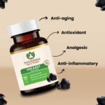 Maharishi Ayurveda Shilajeet Rasayana Tablet – 60 Tab