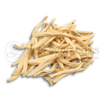 White Musli