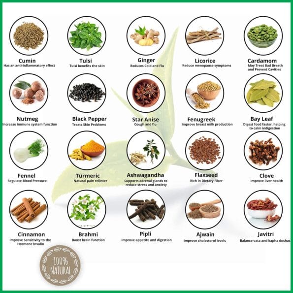 Wellway Ayurvedic Chai1