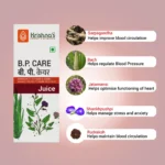Krishna’s Herbal And Ayurveda BP Care Juice – 1000 ML1