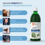 Krishna’s Herbal And Ayurveda Bhringraj Swaras – 500 ML