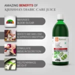 Krishna’s Herbal And Ayurveda Diabic Care Juice – 500 ML